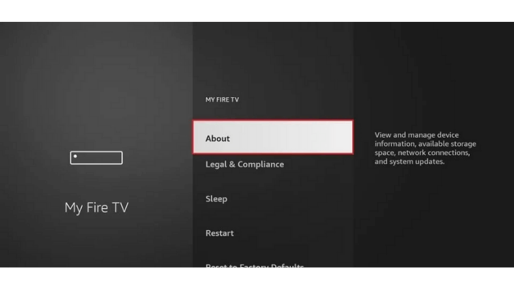 how-to-access-firesticks-developer-options-4